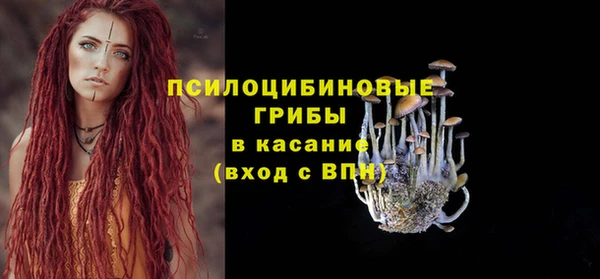 стафф Краснослободск