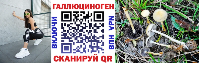 Купить закладки  Бикин  Галлюциногенные грибы GOLDEN TEACHER 